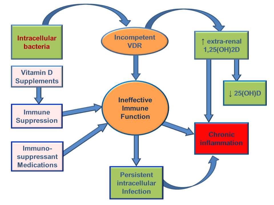 ProcessChronicInflammation